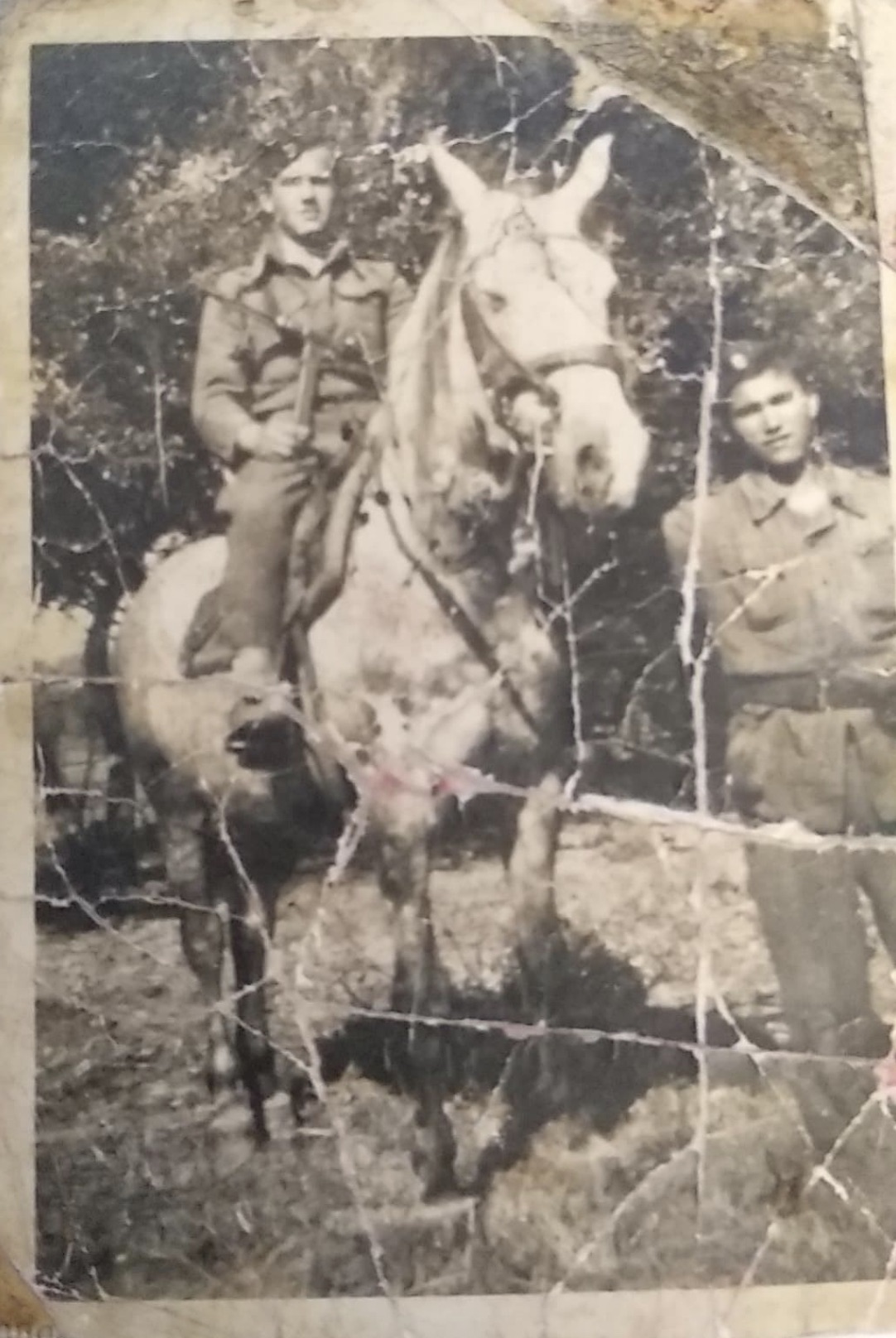 My great grandfather (mounted on a horse) as a member of the antifascist Macedonian Partisan Resistance during World War 2. 1943-1945
